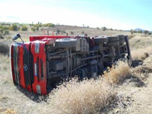 Kurbanlık taşıyan kamyon devrildi