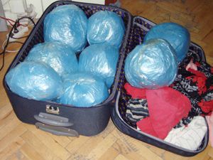 Polis köpeği 10 kilo uyuşturucu yakaladı