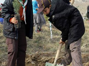 8 bin 500 fidan toprakla buluştu