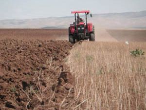 Tarım sigortasına müthiş ilgi
