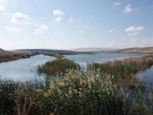 Kurutulan göl yeniden hayata dönüyor