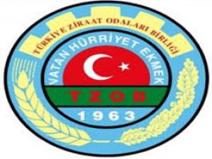 Çumra Ziraat Odasında Konuk istifası