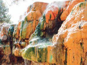 Afyon kaplıcaları şifa dağıtıyor