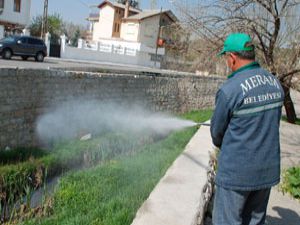 Meramda haşereyle mücadele başladı