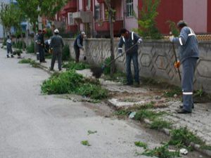 Karatayda bahar temizliği