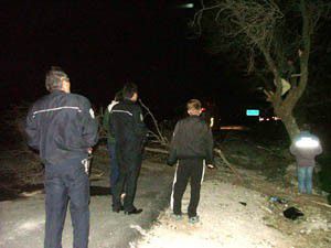 Kopan elektrik telleri ağaçları yaktı