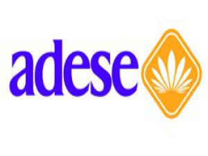 Adesede görev değişimi