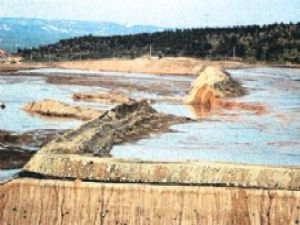 Şimdi gözler siyanür havuzlarında