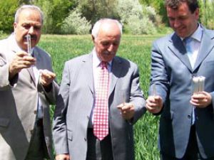 Süne ile mücadele başladı