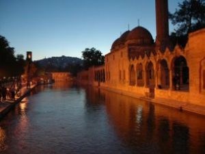 Konyadan sonra Şanlıurfada katıldı