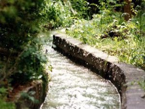 İlk sulama suyu 20 Haziranda