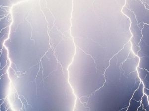 Konyada yıldırım çarpan çoban öldü