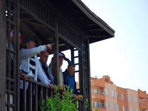 Şehrin yeşil dokusu arttı