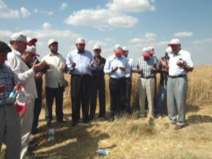 Sarayönünde hasat sezonu başladı