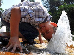 Aşırı sıcaklarda bunlara dikkat edin