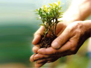 Karapınarda Kırsal Kalkınma Projeleri anlatıldı