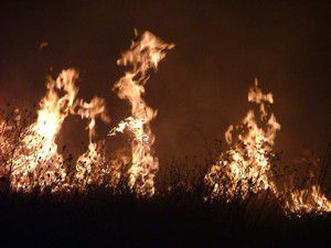 Kuluda anız yangınlarının önüne geçilemiyor