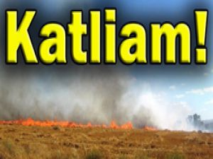 Karlı; "Anız yakmak katliamdır"