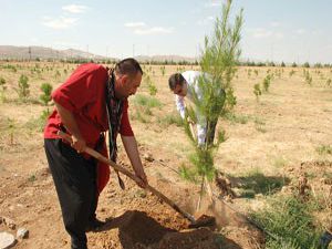 Başkan Kalaycı ve Yenilmez fidan diktiler