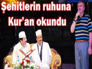 Konyayı mest ettiler