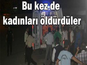 Bunlar canidir
