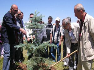 Ak Partililer çevre gününde buluştu