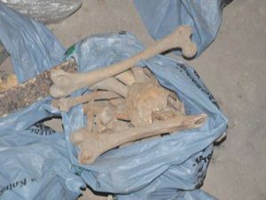 Konyada insan kemikleri ortaya çıktı