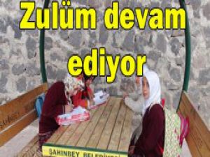 Öğrenciler parkta ders yapıyor