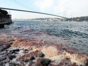 Boğaz kırmızıya boyandı