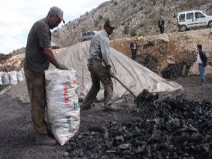 Türkiye mangalının yüzde 10u Konyadan