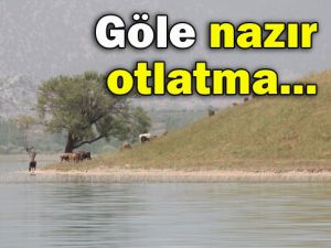 Konyaspor 1 puan çıkardı