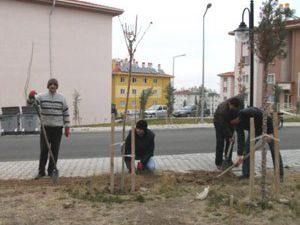 Karapınarda vatandaşlar fidan dikti