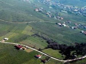 Devletin en fazla mülkü Konyada