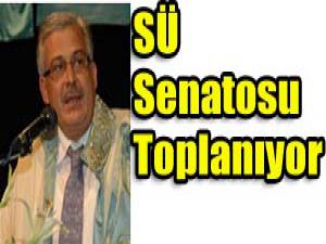 Selçuk Üniversitesi bölünüyor mu?