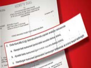 Mehmetçike domuz ve at eti