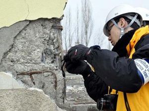 Japon bilim adamları Vanda