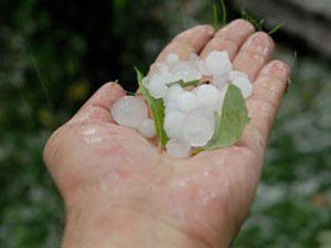 Ereğlideki dolu zararı Meclise taşındı