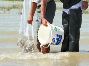 Avlanma yasağı kalktı, 4 keçi kurban edildi