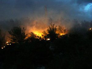 Rüzgar elektrik tellerini koparınca yangın başladı