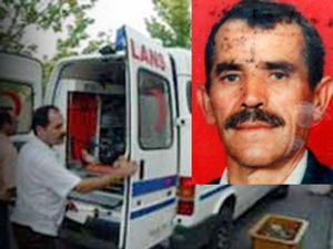Kiraz toplayım derken hayatından oldu