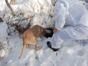 Sığınakların bulunduğu an