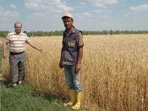 Selçukta örnek uygulama tesisi