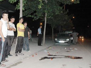 Alışveriş dönüşü feci kaza
