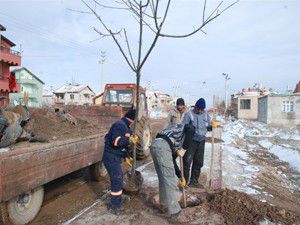 Karatayda ağaçlandırma çalışmaları yapılıyor