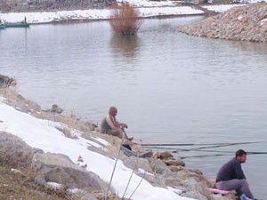 Sadece çim sazanı avlamak serbest