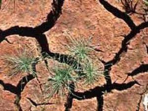 10 yıl sonra su savaşları başlayacak