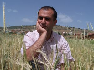 Sarayönüde hasar belli oldu