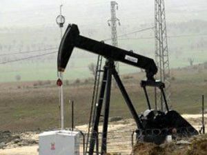 Köy meydanından petrol çıktı