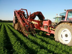 Çiftçiler ilaçlama konusunda uyarıldı