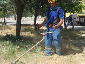 Otla mücadeleye devam